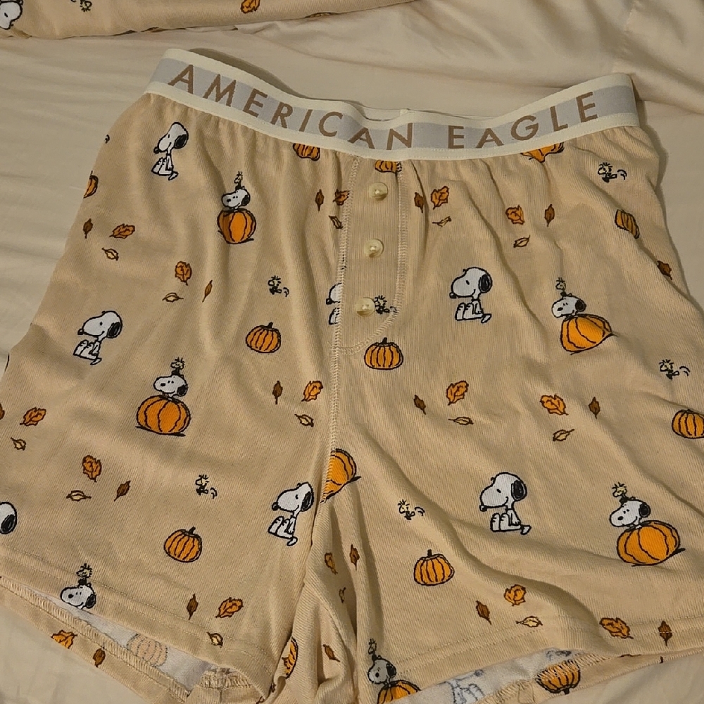 AE Plush Snoopy Fall Pj Set - Picture 3 of 3